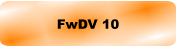 FwDV 10